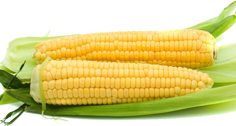 Value Center Market  ear of corn Full-Size Picture